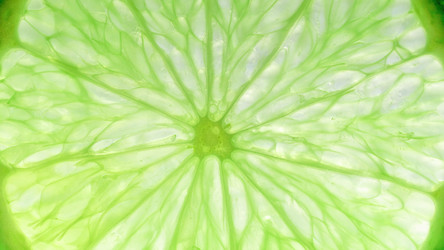 Similar image 21117045