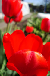 Similar image 21113975