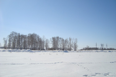 Similar image 21113976