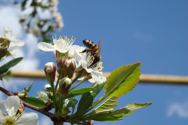 Similar image 21104130