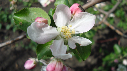 Similar image 21113771