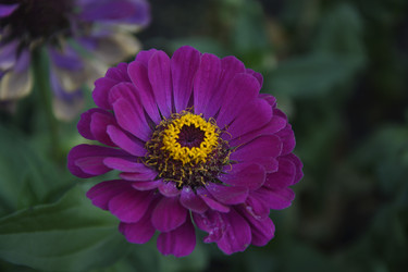 Similar image 21104883