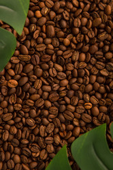 Similar image 21109569