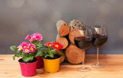 Similar image 21104644