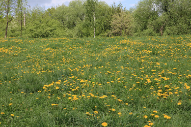 Similar image 21130889