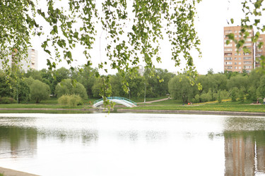 Similar image 21130913