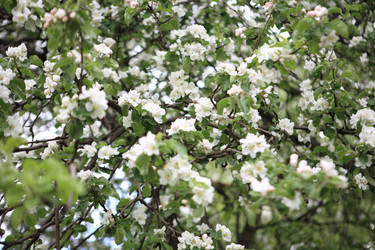 Similar image 21130915