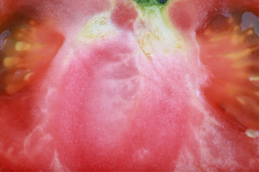 Similar image 21130921