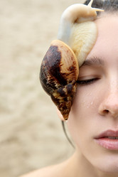 Similar image 21106384