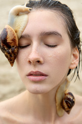 Similar image 21106385