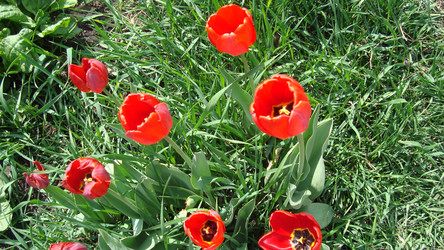 Similar image 21104647