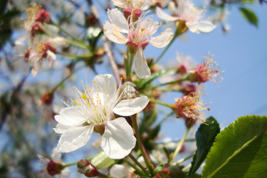 Similar image 21107343