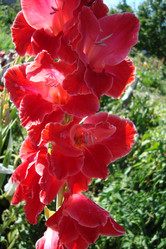 Similar image 21104648