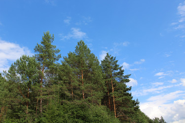 Similar image 21104652