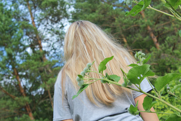 Similar image 21104653