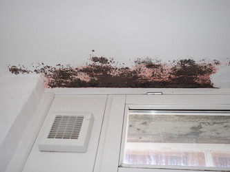 Similar image 21117081