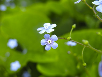 Similar image 21104905