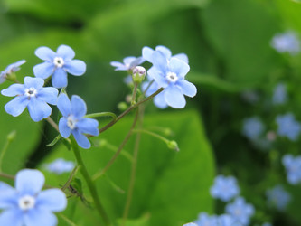 Similar image 21104906