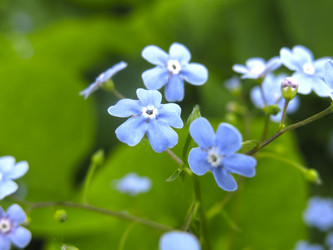 Similar image 21104907