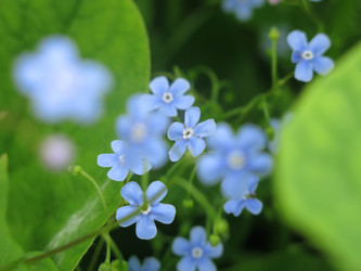 Similar image 21104908