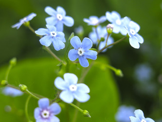 Similar image 21104910