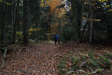 Similar image 21106386