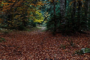 Similar image 21106387