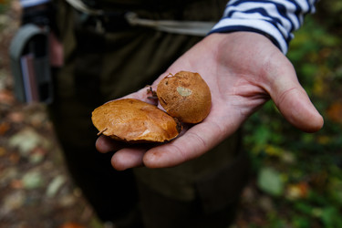 Similar image 21106388