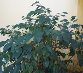 Similar image 21116728