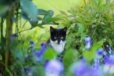 Similar image 21104447