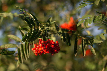 Similar image 21104448