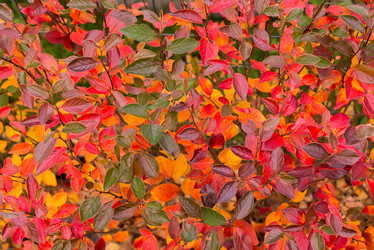 Similar image 21104449