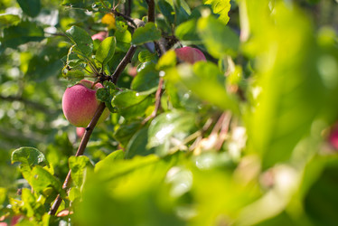 Similar image 21104451