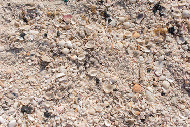 Similar image 21113668