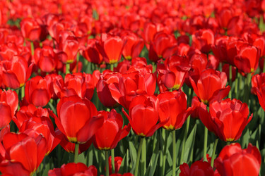 Similar image 21130949