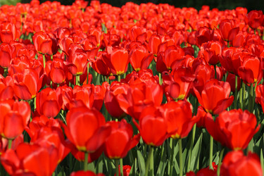 Similar image 21130951