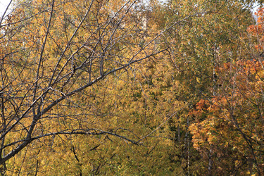 Similar image 21130955