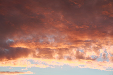 Similar image 21130957