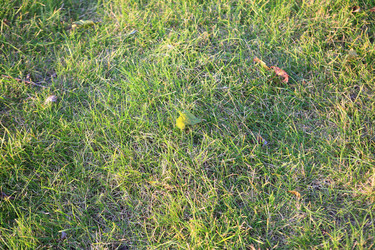 Similar image 21131071