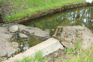 Similar image 21131072