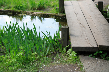 Similar image 21131078