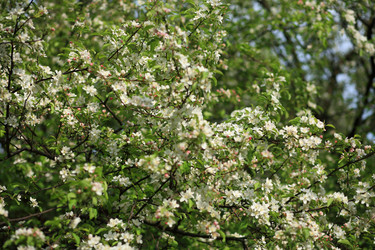 Similar image 21131080