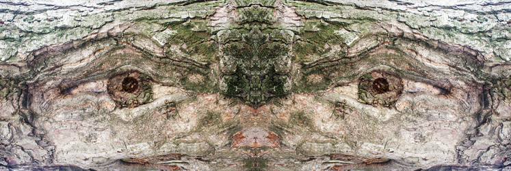 Similar image 21107896