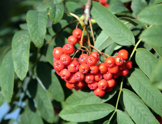 Similar image 21130958