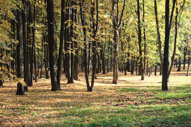 Similar image 21130972