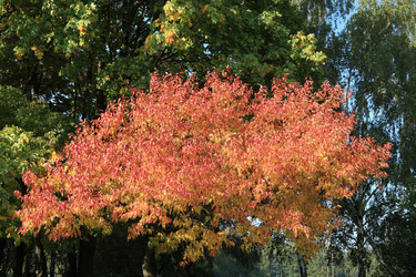 Similar image 21130979