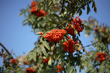 Similar image 21130981