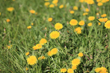 Similar image 21130983