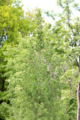 Similar image 21130984