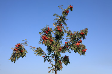 Similar image 21130985